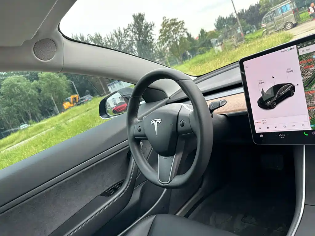 Tesla Model 3 — миниатюра 17