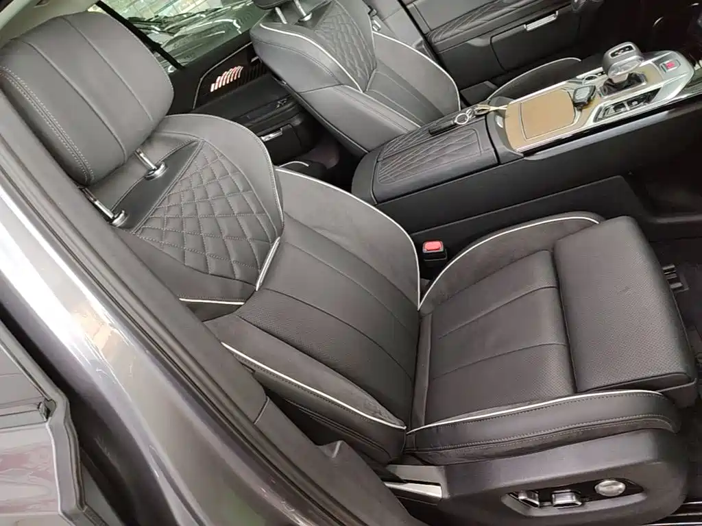 Hongqi Hongqi E-HS9 — миниатюра 25