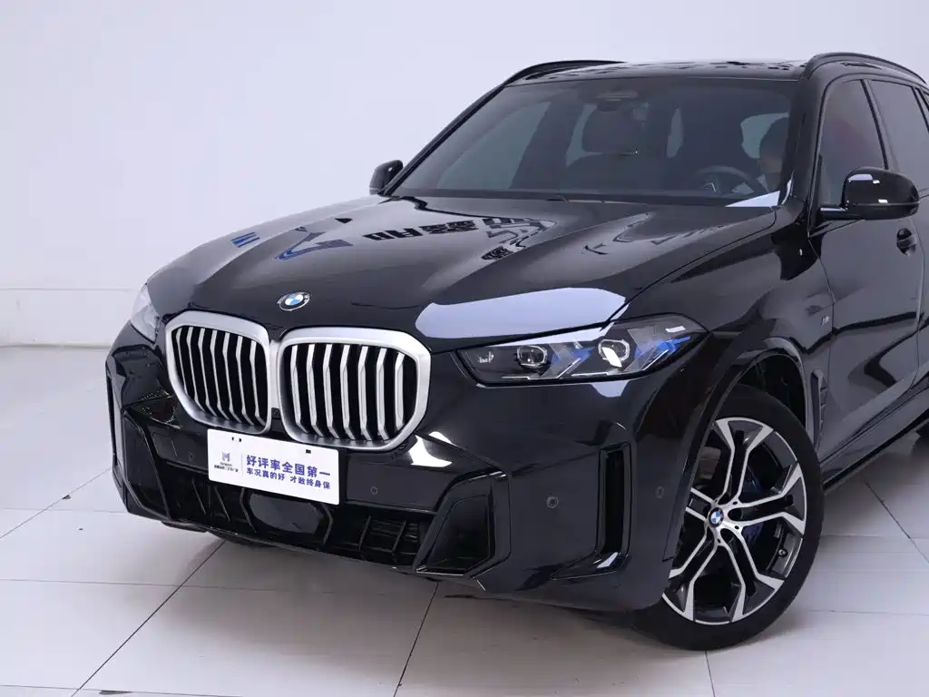 BMW X5 — миниатюра 3