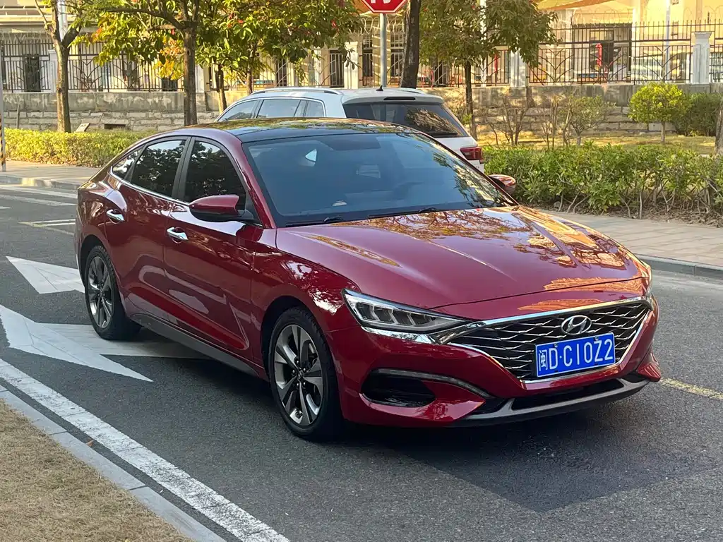 Hyundai Fista — миниатюра 2
