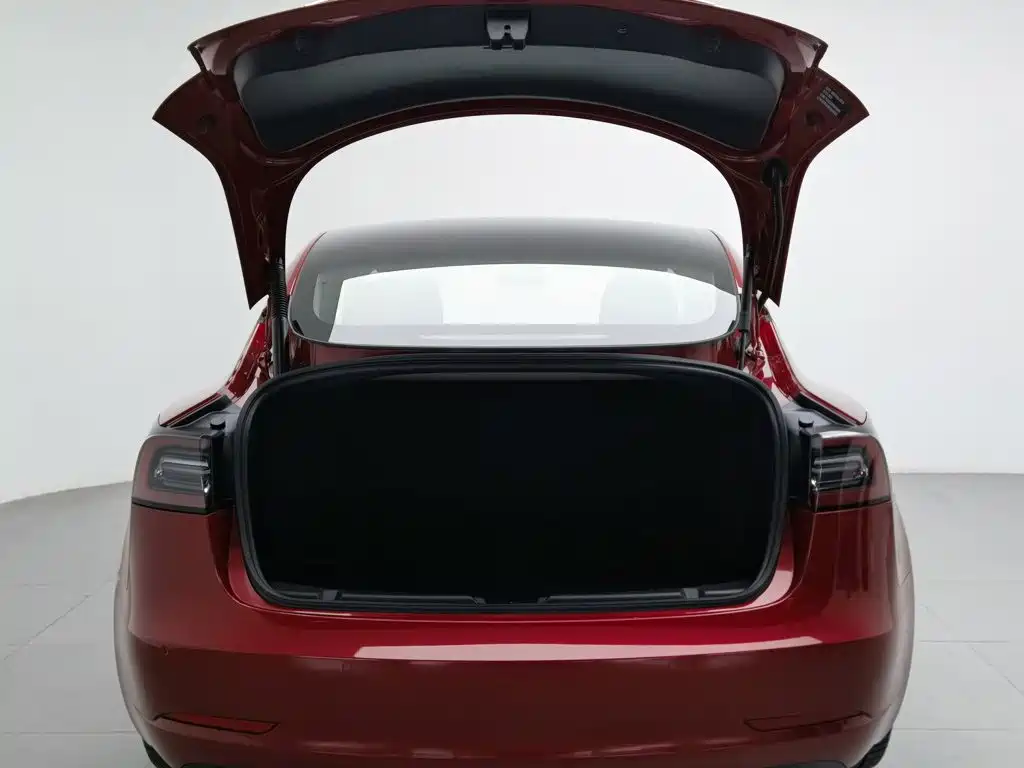 Tesla Model 3 — миниатюра 16