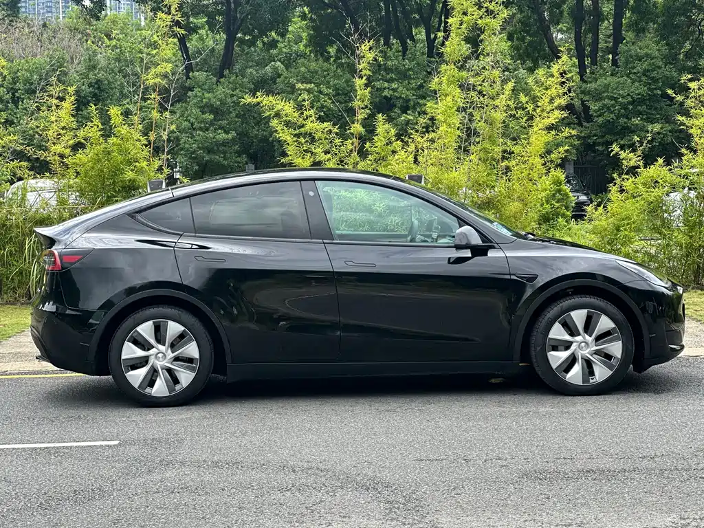 Tesla Model Y — миниатюра 15