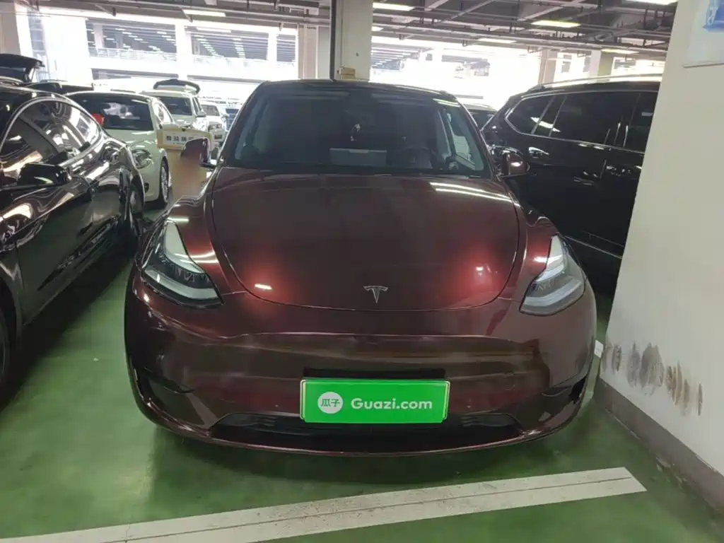 Tesla Model Y — миниатюра 3