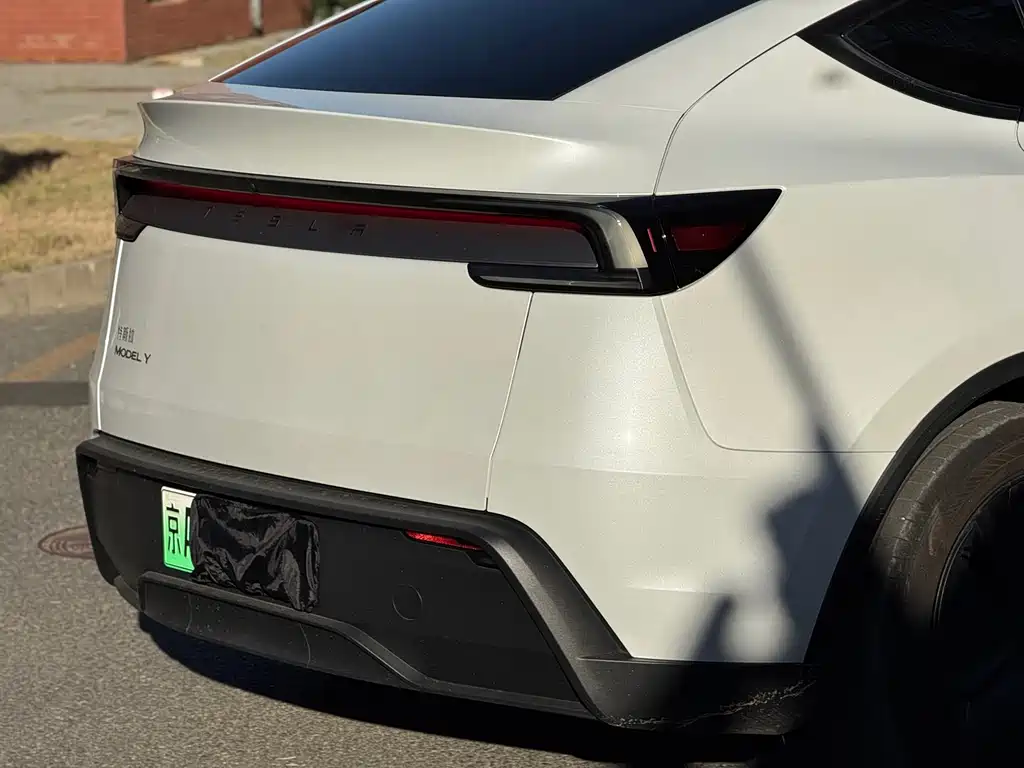 Tesla Model Y — миниатюра 7