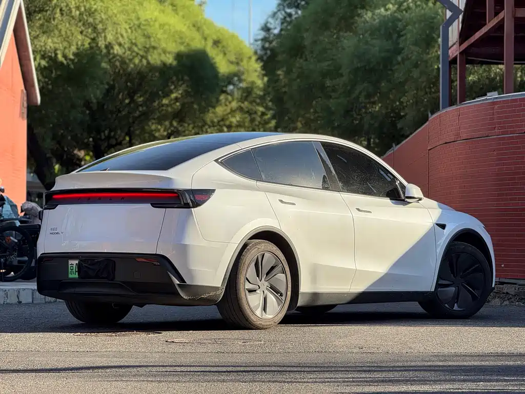 Tesla Model Y — миниатюра 5