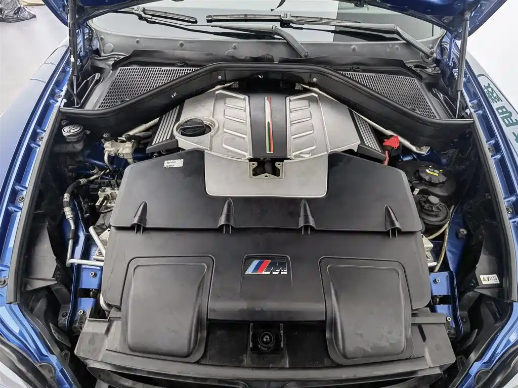 BMW X5 M 2010 X5 M