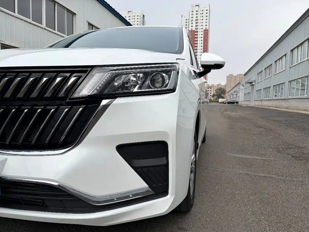 Wuling Jiachen — миниатюра 7
