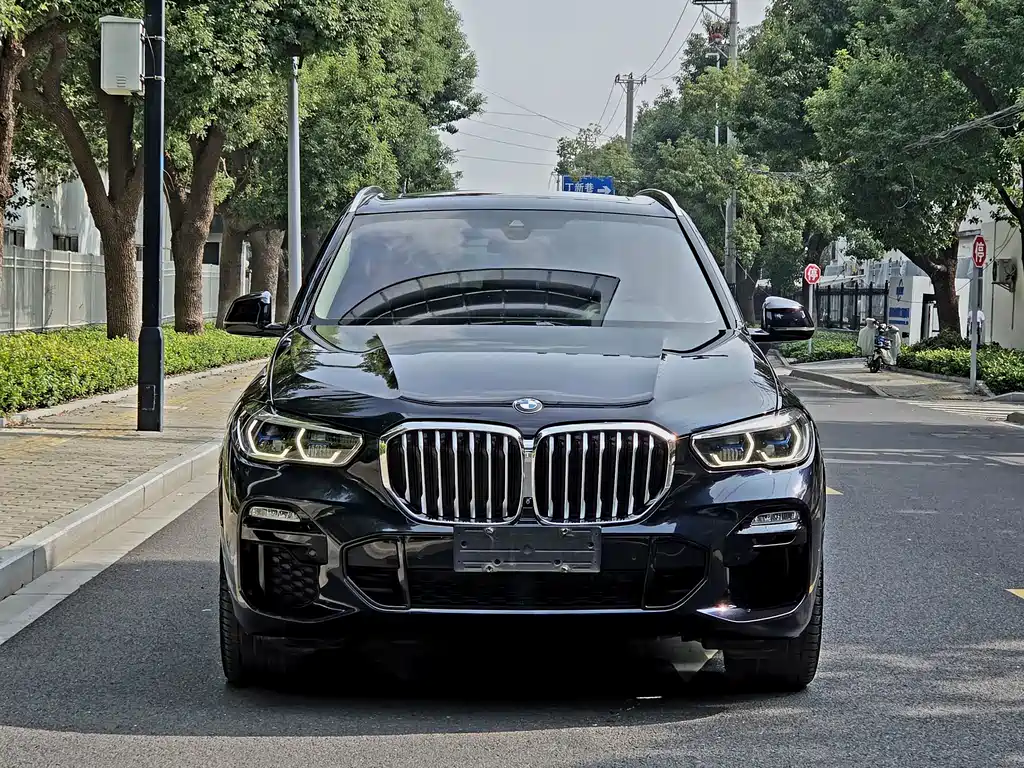 BMW X5 (Import) — миниатюра 2