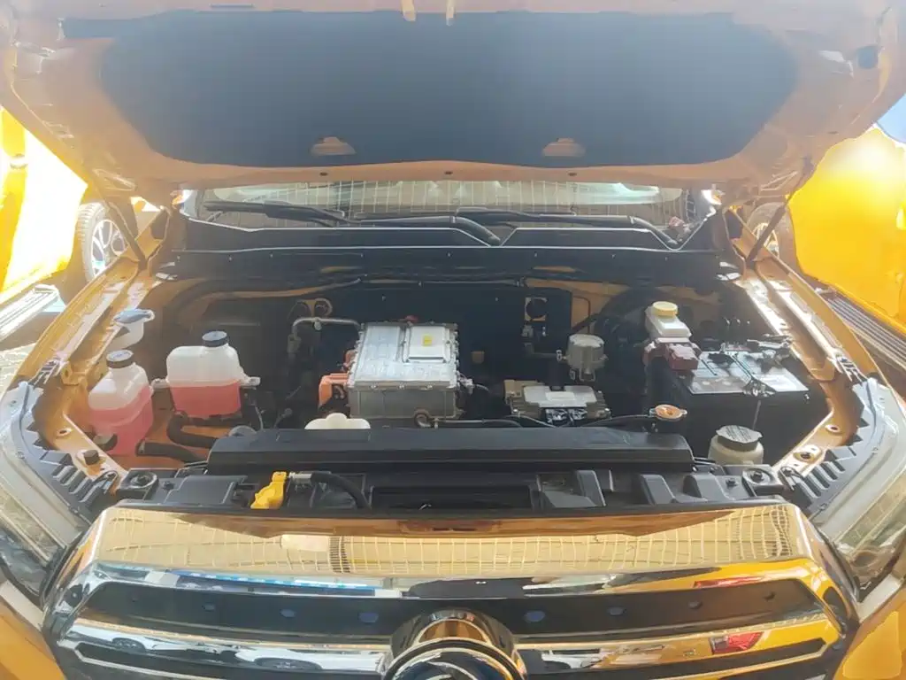 Dongfeng Rich 6 New Energy — миниатюра 20