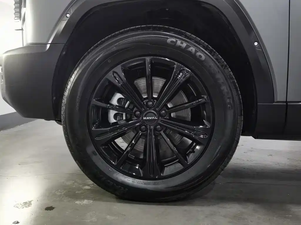 Haval Menglong New Energy — миниатюра 17