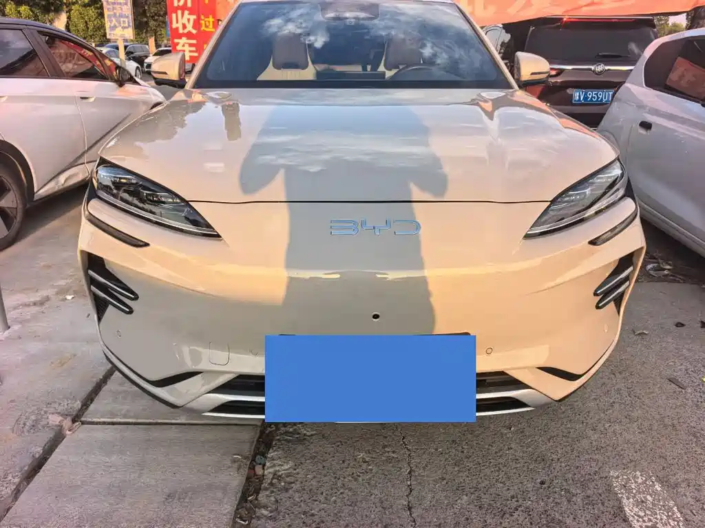 BYD PLUS New Energy — миниатюра 2