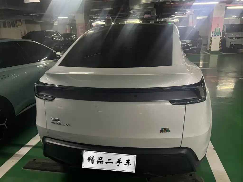 Tesla Model Y — миниатюра 5