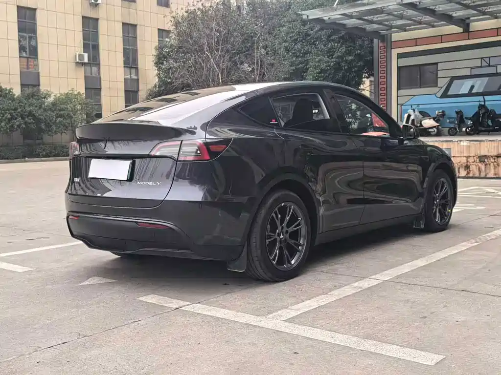 Tesla Model Y — миниатюра 9