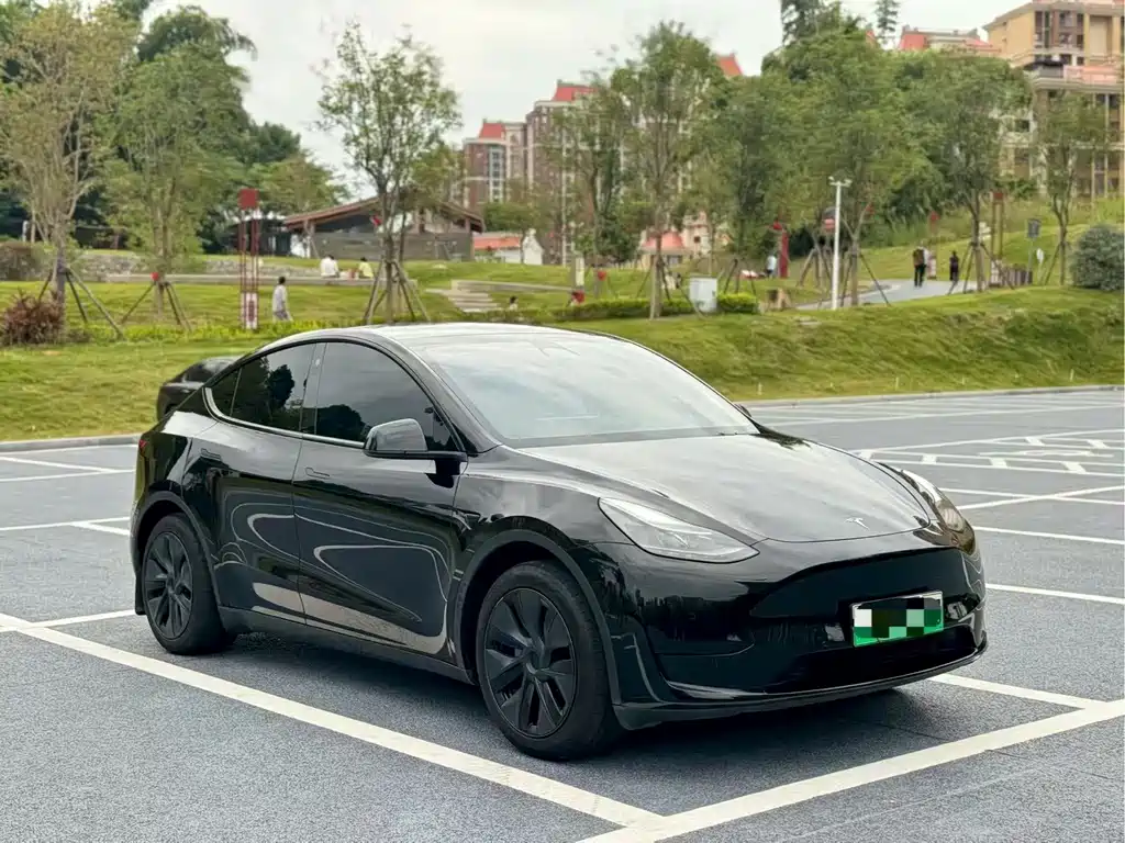 Tesla Model Y — миниатюра 3