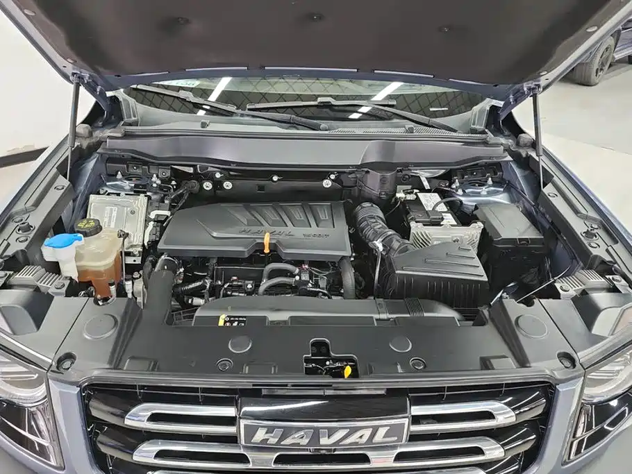 Haval Big Dog — миниатюра 10