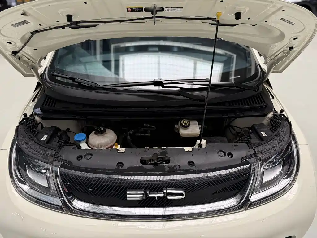 BYD Dolphin — миниатюра 20