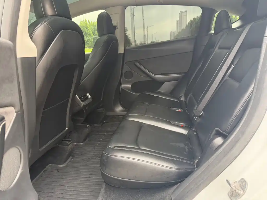 Tesla Model Y — миниатюра 5