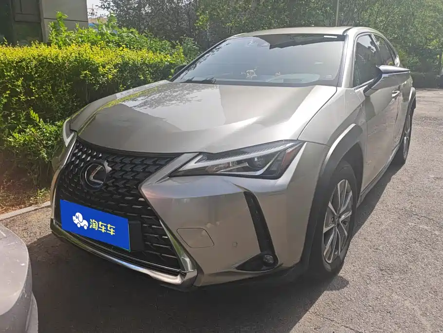 Lexus UX 2020 300e