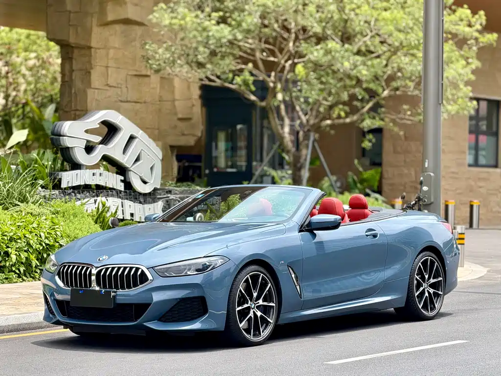 Купить BMW 8 Series