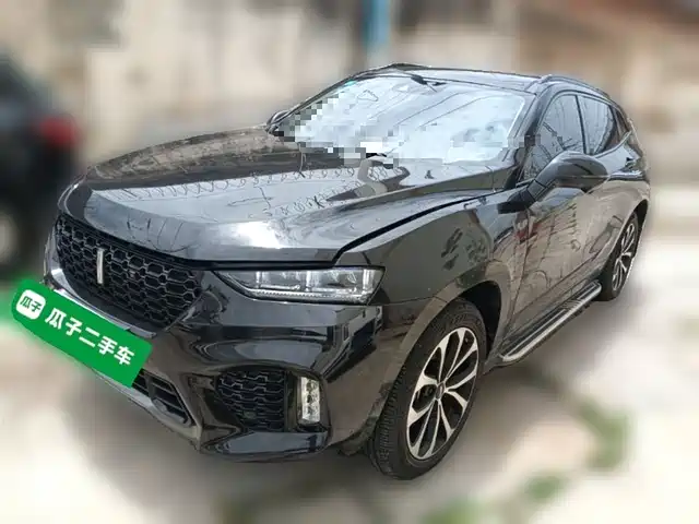 WEI PAI WEI BRAND VV7 2019