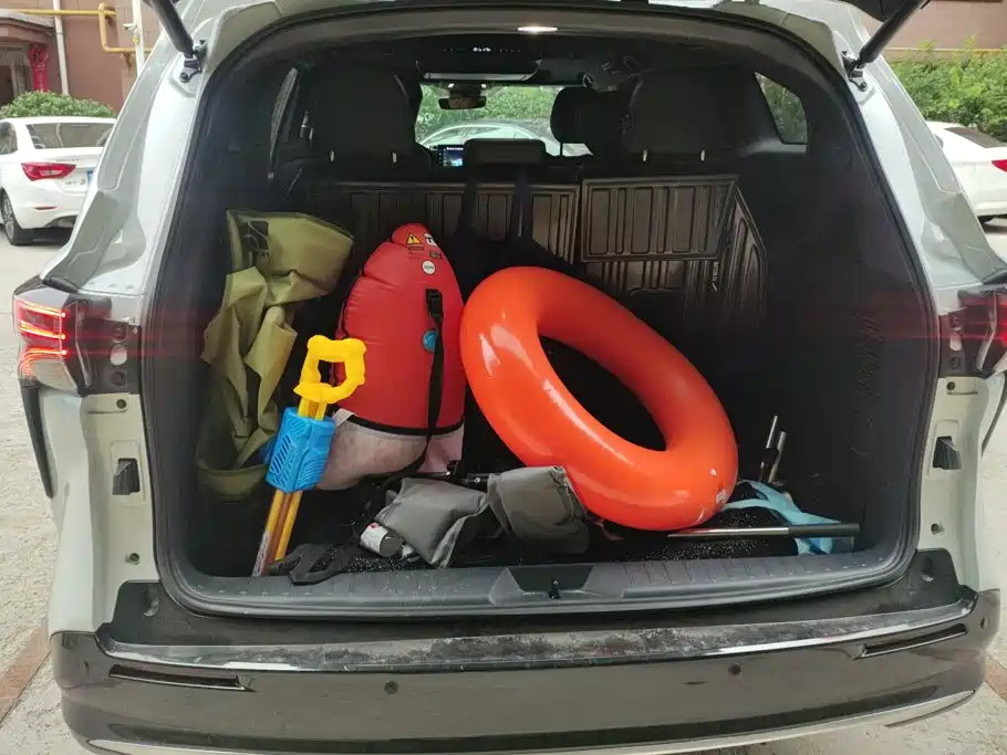 Toyota Sienna — миниатюра 4