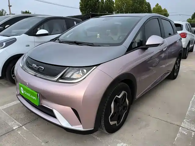 2022 BYD Dolphin
