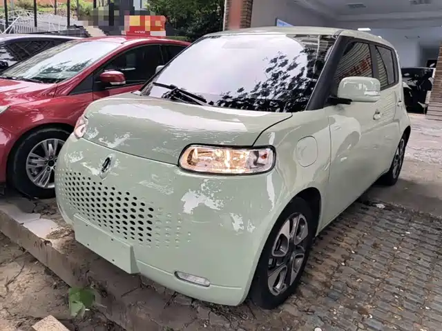 2021 Ora R2/White Cat