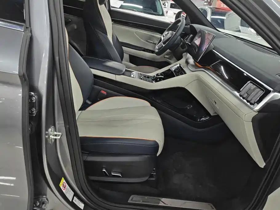BYD PLUS New Energy — миниатюра 8