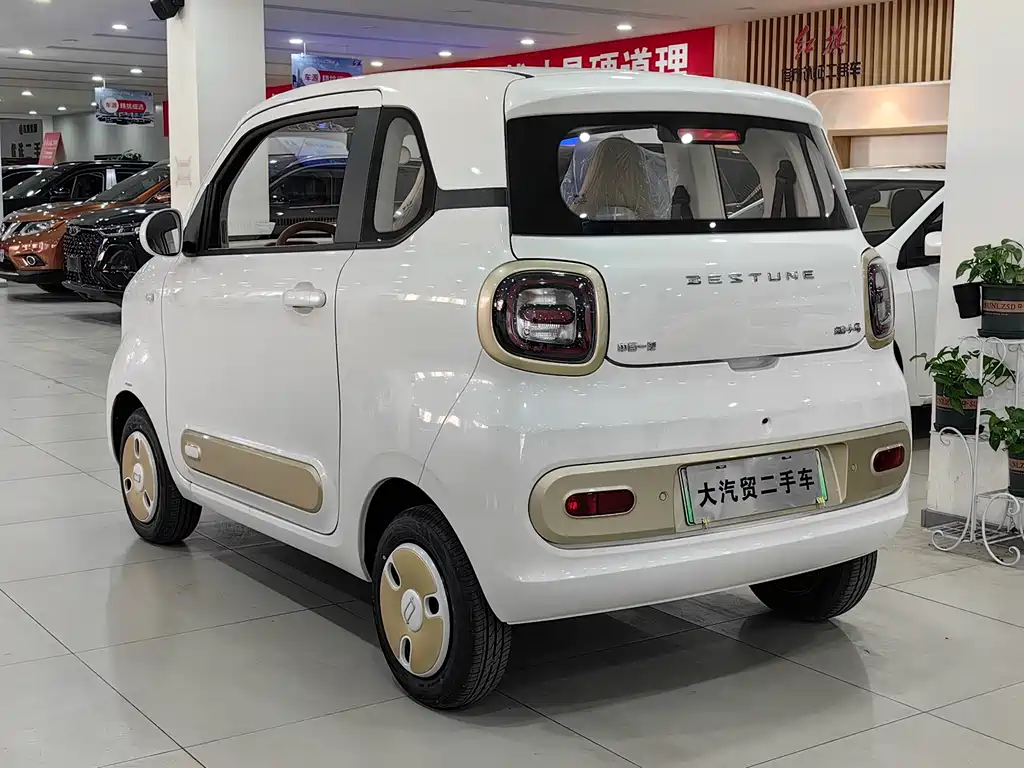 BESTUNE PENTIUM PONY