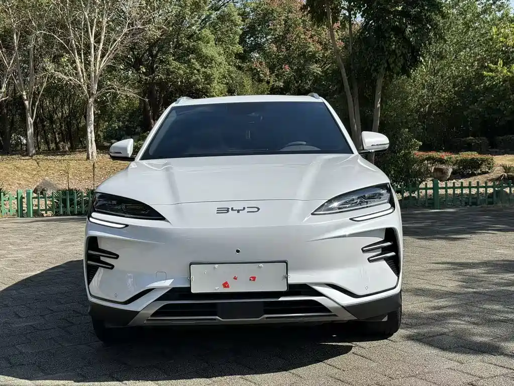 BYD SONGJIANG NEW ENERGY