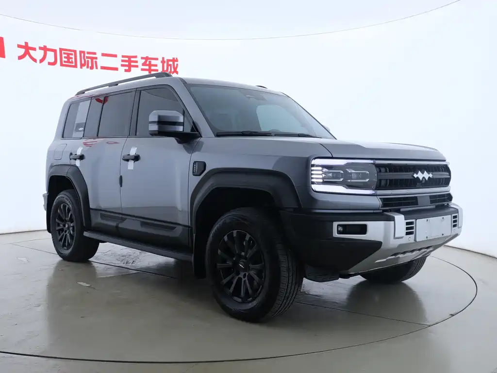 FANG CHENG BAO LEOPARD 5