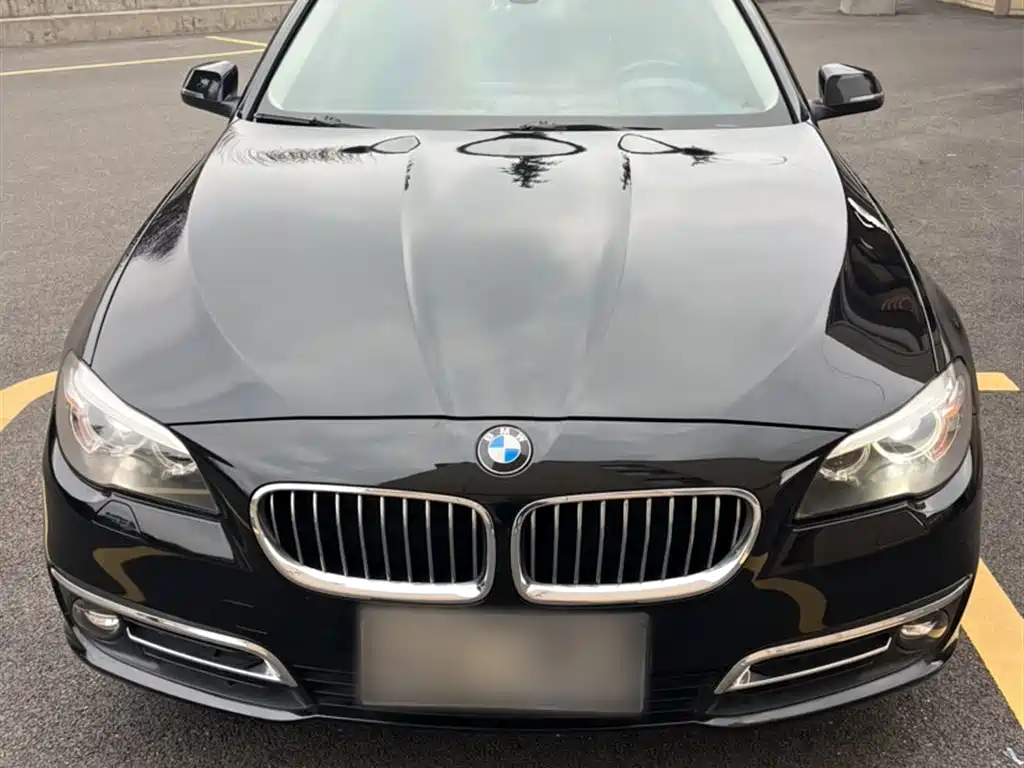 BMW 5 Series 5 2014 520Li Elegant