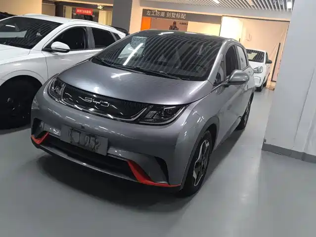 2022 BYD Dolphin
