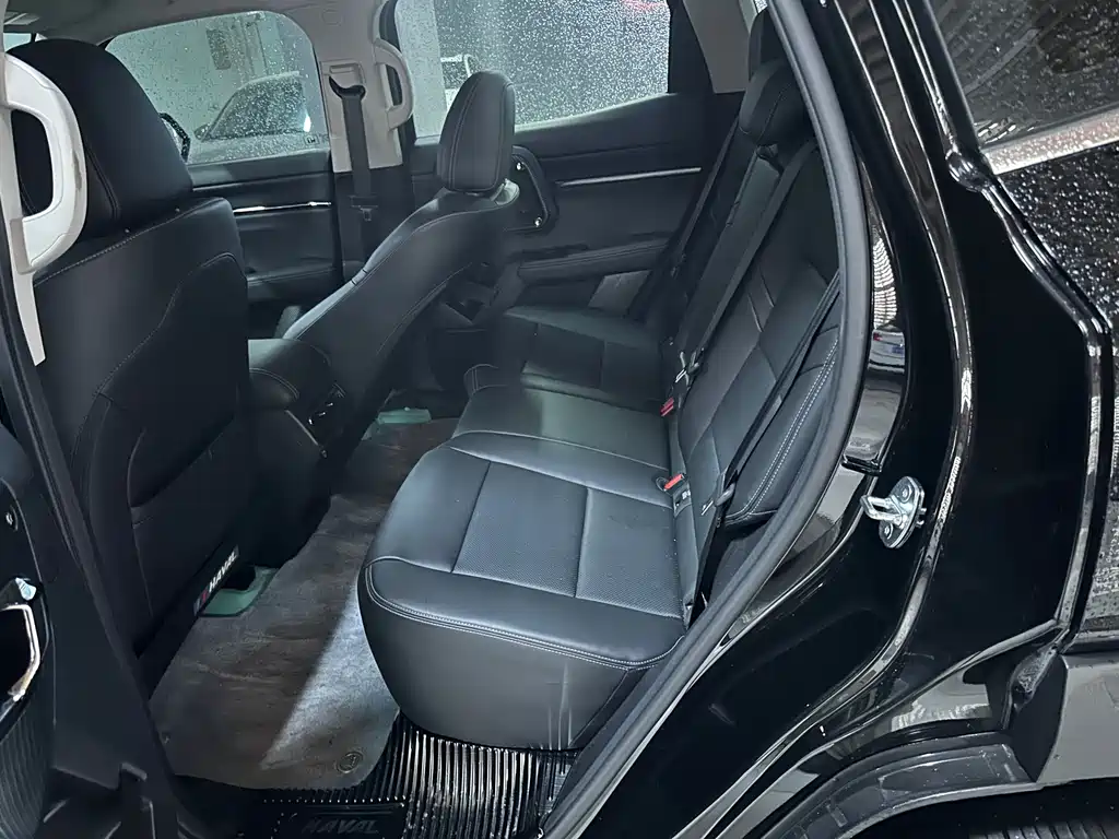 HAVAL SECOND GENERATION BIG DOG NEW ENERGY