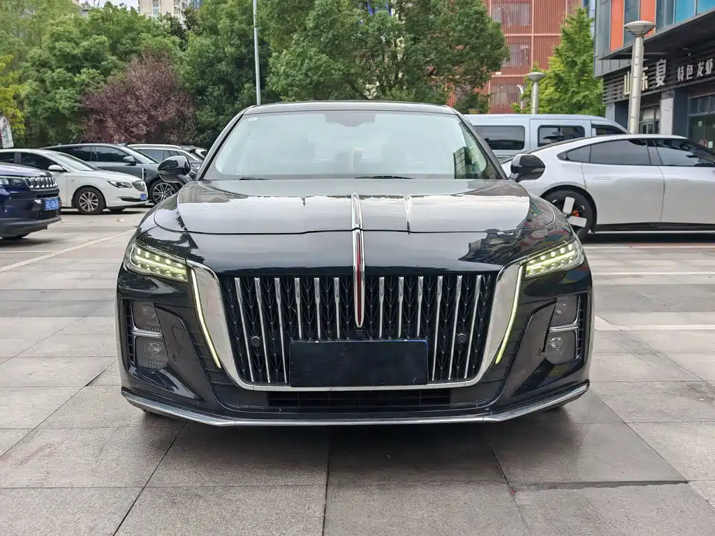 Hongqi Hongqi H5 — миниатюра 7