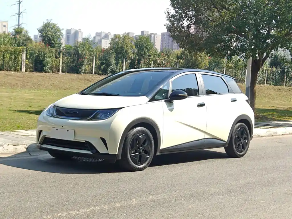 BYD Dolphin — миниатюра 2