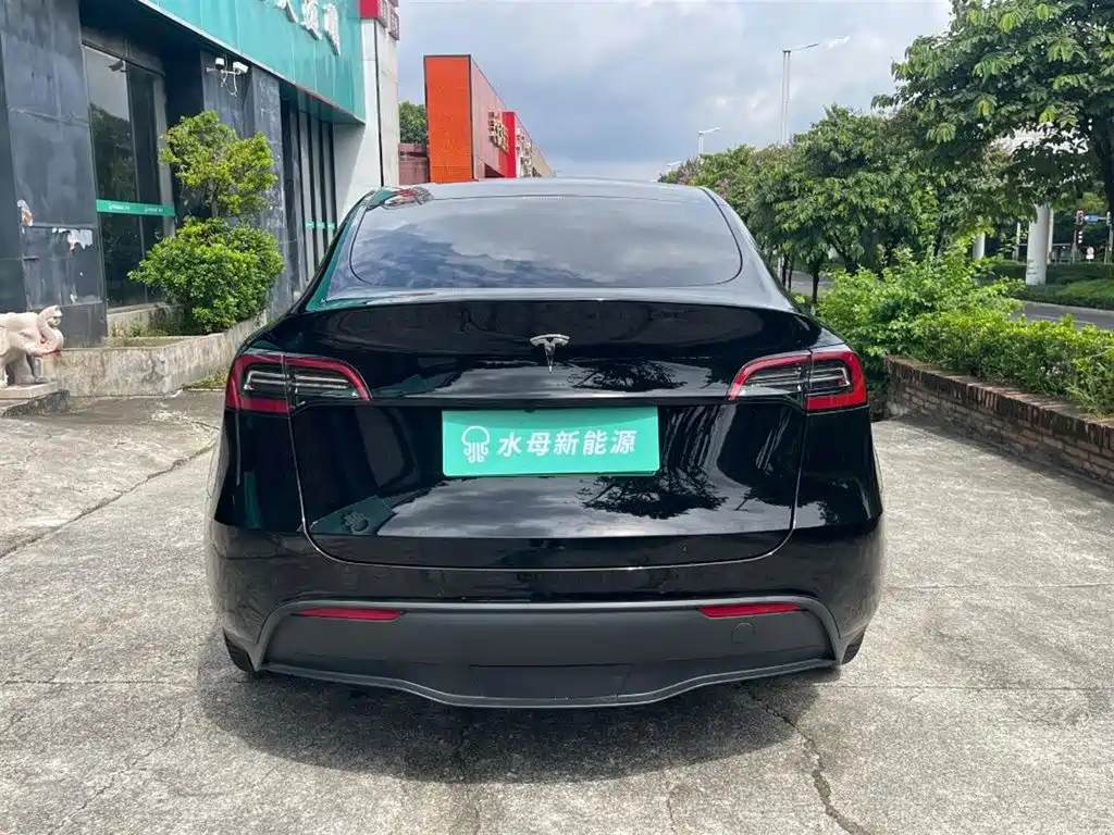 Tesla Model Y — миниатюра 7