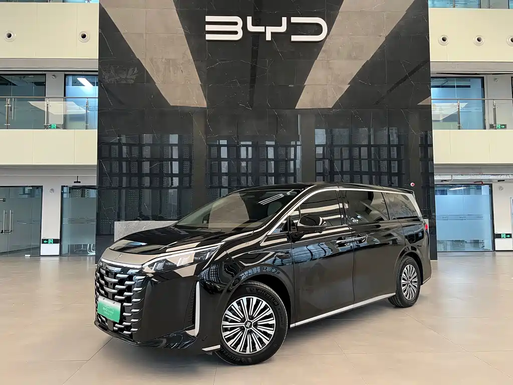 BYD SUMMER
