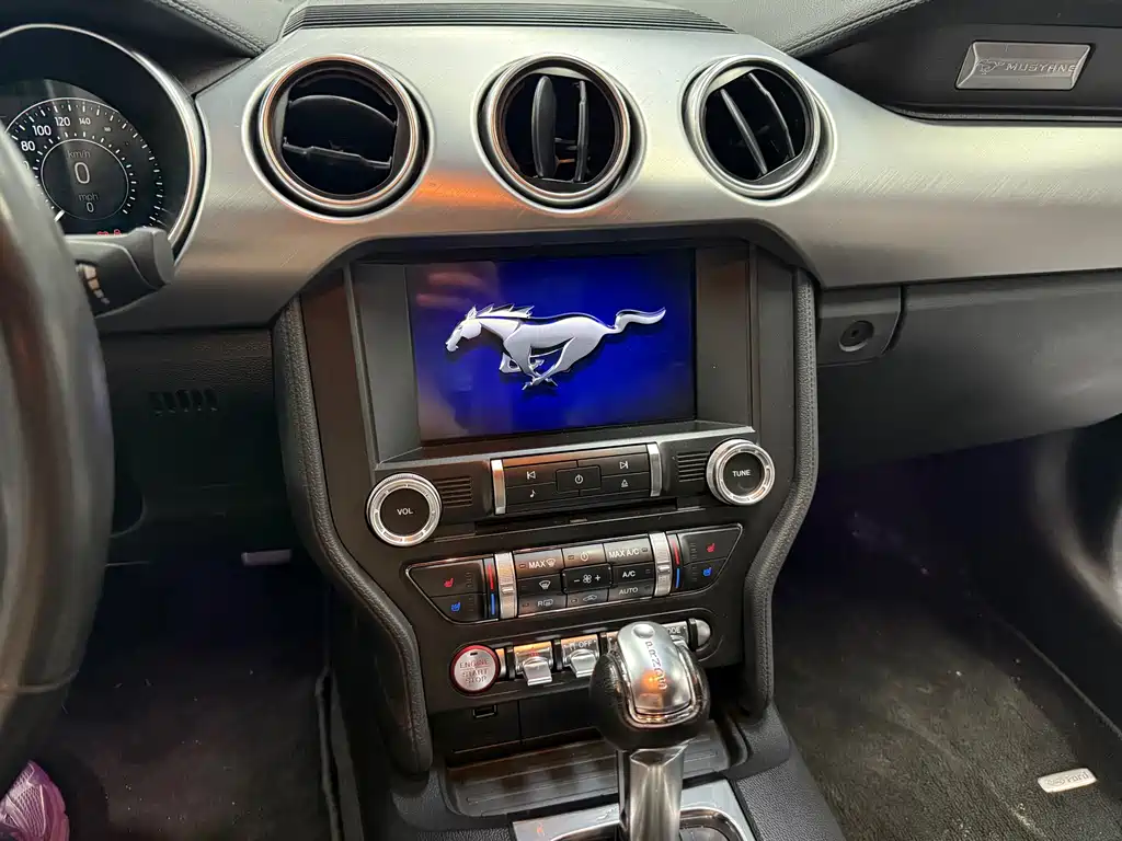 Ford Mustang — миниатюра 12