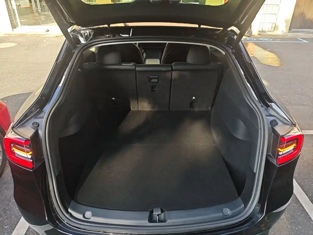 Tesla Model Y — миниатюра 19