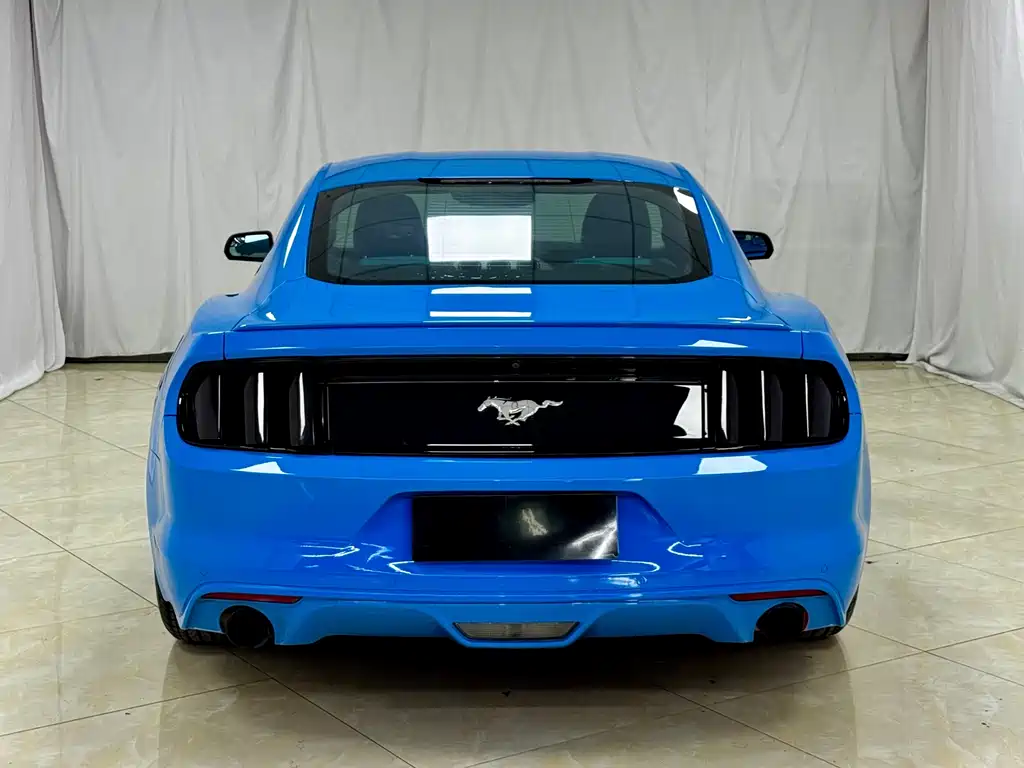 Ford Mustang 2.3T Performance Edition, фото 12