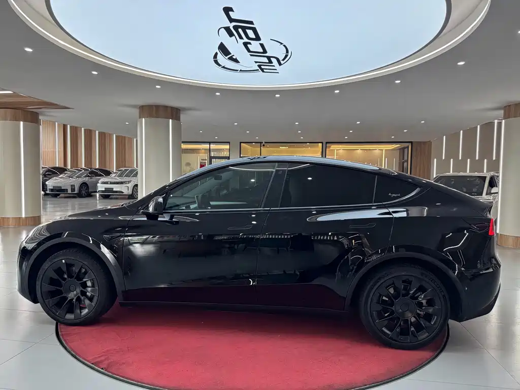 Tesla Model Y — миниатюра 7