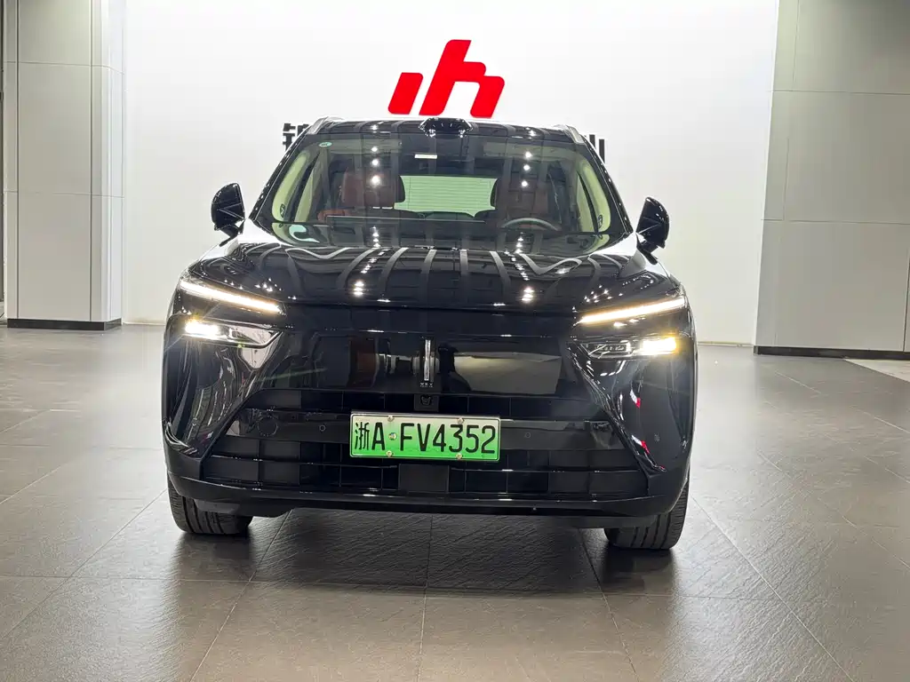 WEI PAI WEI BRAND BLUE MOUNTAIN