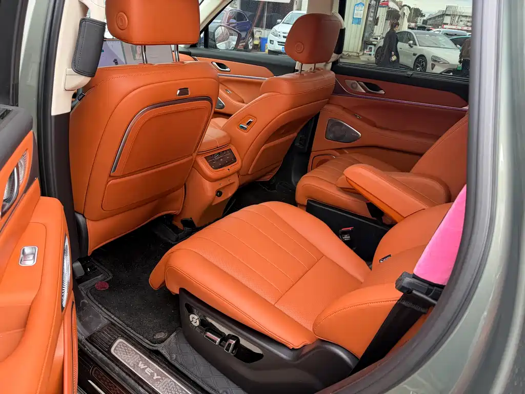 WEI PAI WEI BRAND BLUE MOUNTAIN