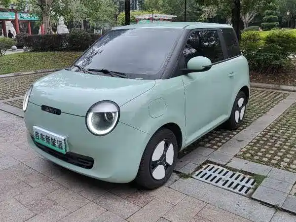 Qiyuan Lumin 2023
