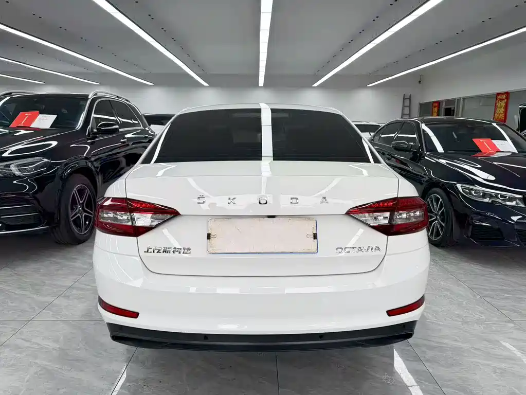 Skoda Octavia — миниатюра 5