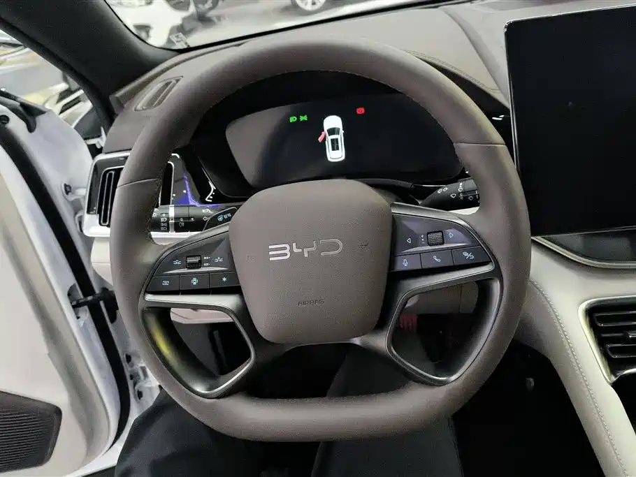 BYD SONGJIANG NEW ENERGY