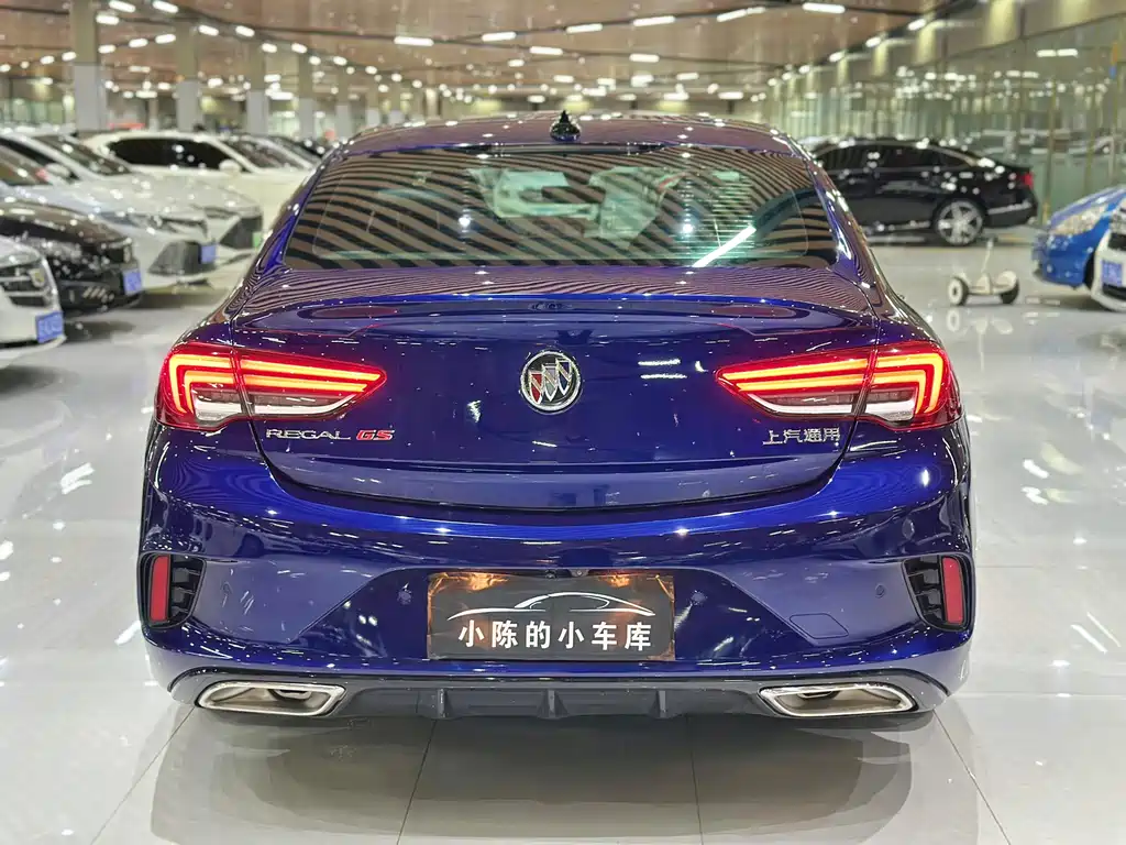 Buick Regal — миниатюра 11