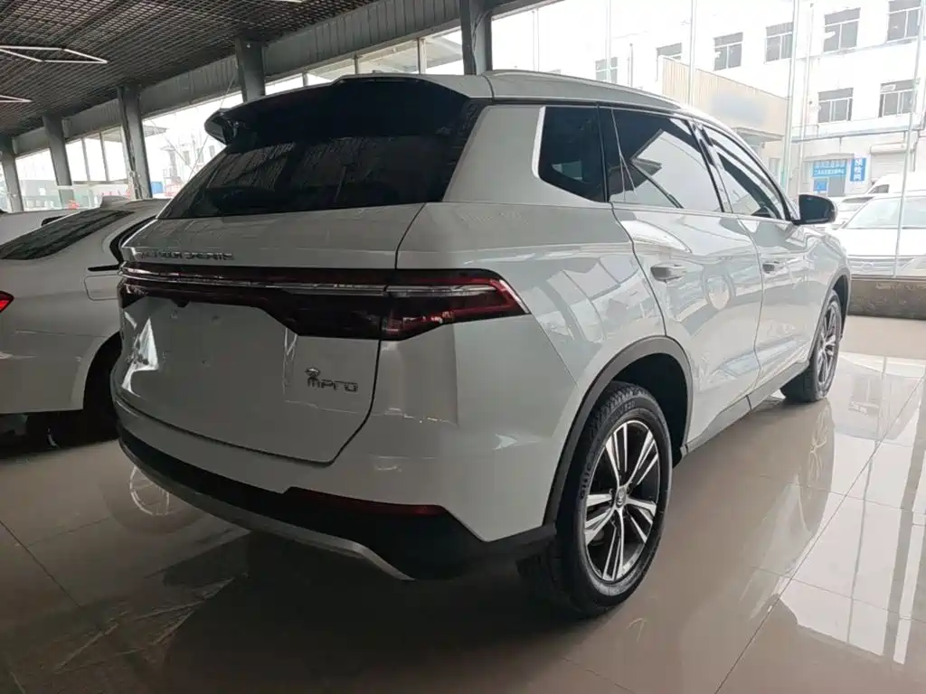 BYD Pro — миниатюра 7