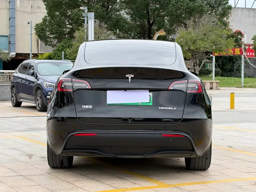 Tesla Model Y — миниатюра 5